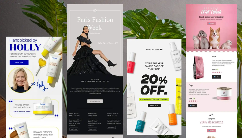 Email layout with SEO-optimized anchor text and links